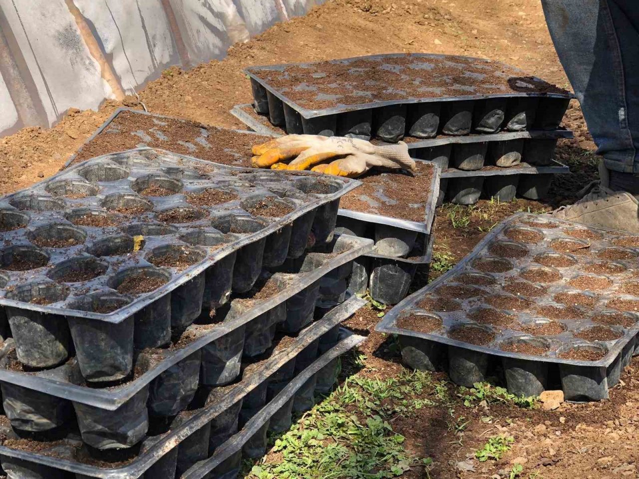 Beytüşşebap’ta tohumlar toprakla buluşuyor