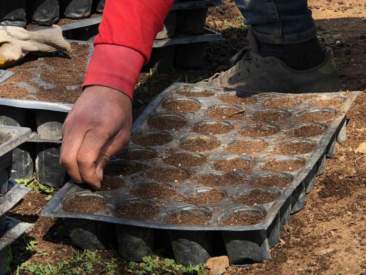 Beytüşşebap’ta tohumlar toprakla buluşuyor