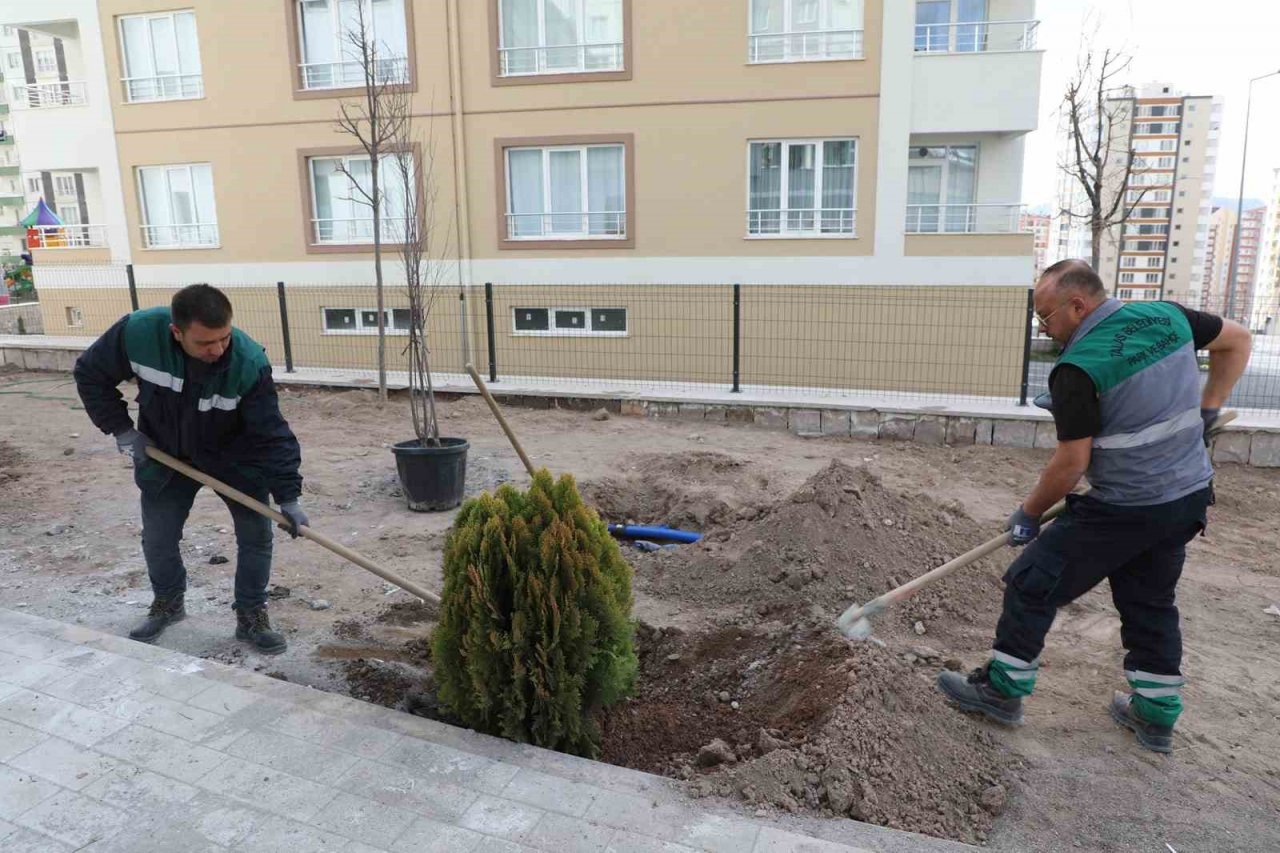 Talas’ta ağaçlandırma sezonu açıldı