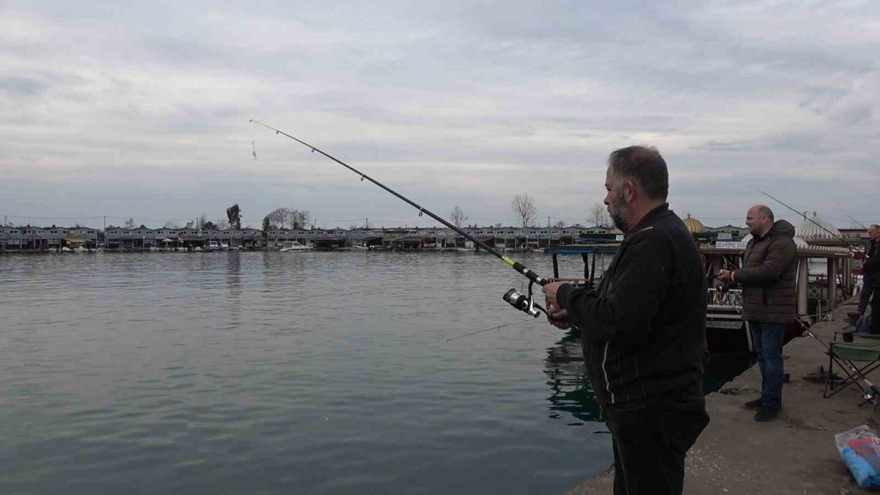 Trabzon’un kaçak somonları Rizeliler’in yüzünü güldürüyor