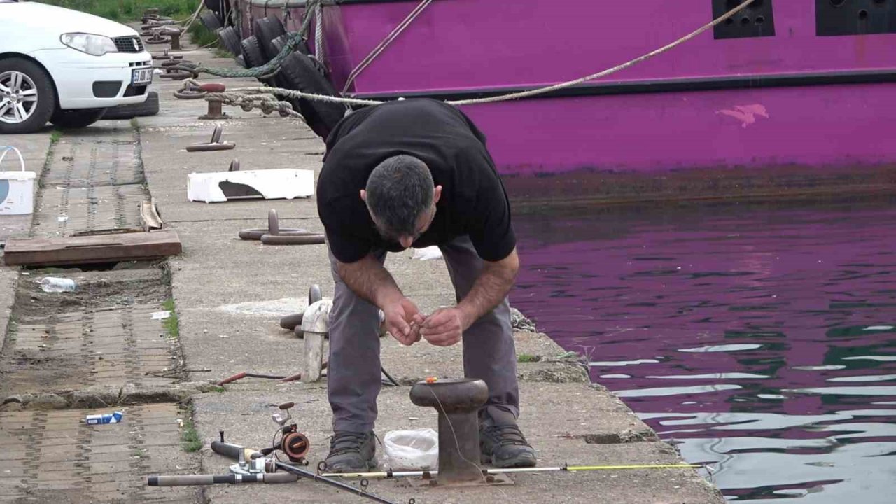 Trabzon’un kaçak somonları Rizeliler’in yüzünü güldürüyor