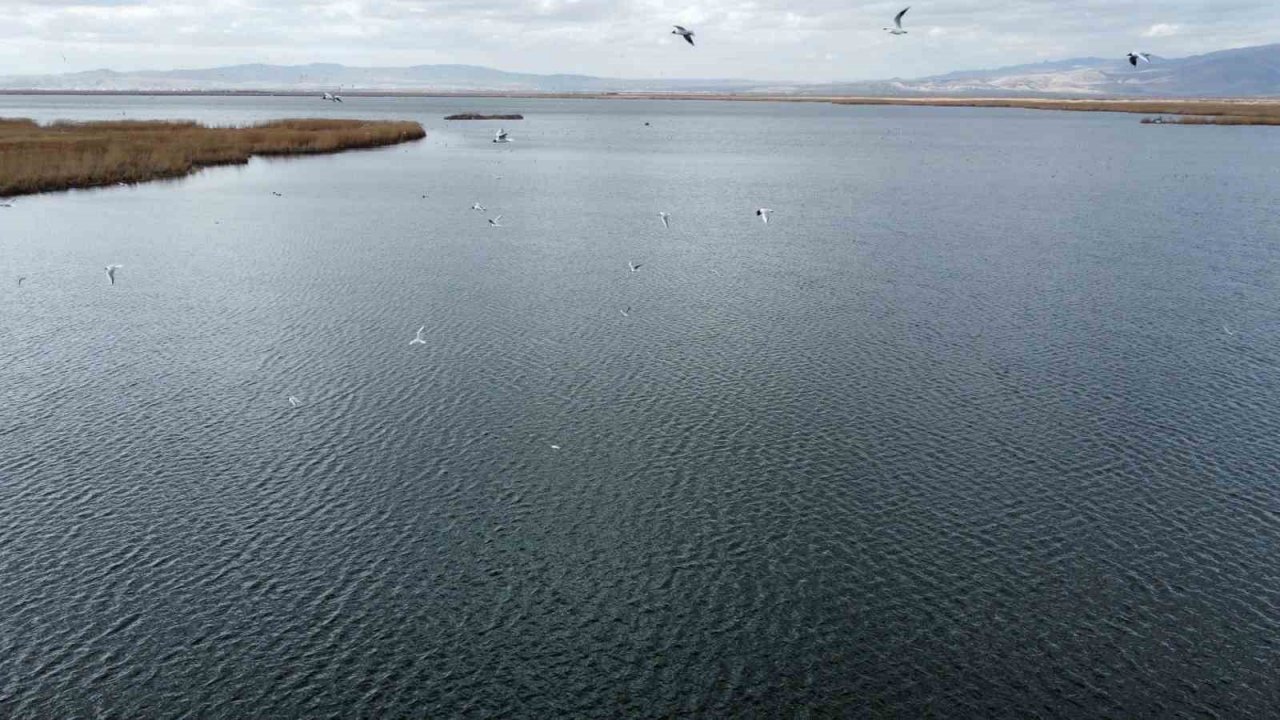 Eber Gölü’nde kış mevsiminde beklenen yağış alınamadı