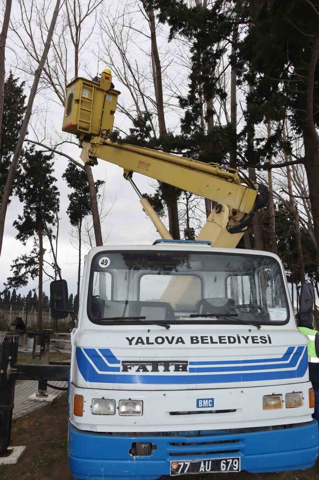 Yalova’da fırtınada zarar gören ağaçların yerinde yeni fidanlar yeşerecek
