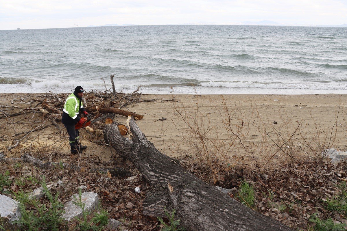 Yalova’da fırtınada zarar gören ağaçların yerinde yeni fidanlar yeşerecek