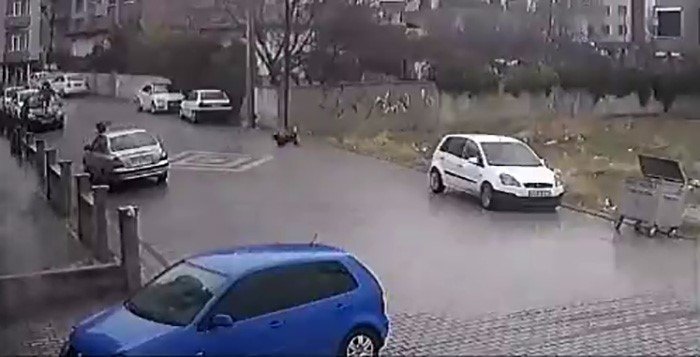 Kendisine doğru koşan köpekleri fark etti, otomobil üzerine çıktı