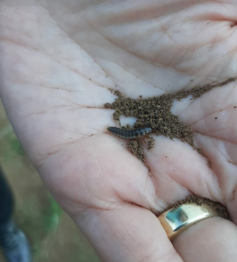 Kütahya’da ’Zabrus’ seferberliği