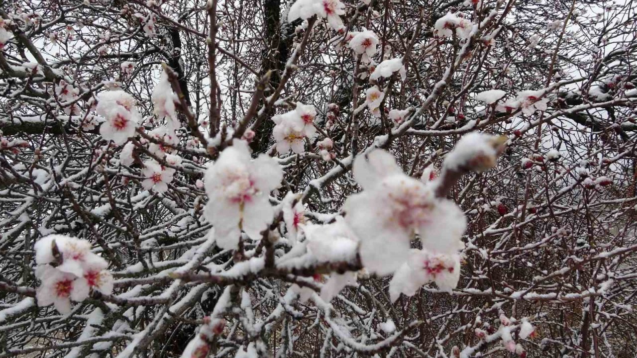 Kütahya’ya Mart karı