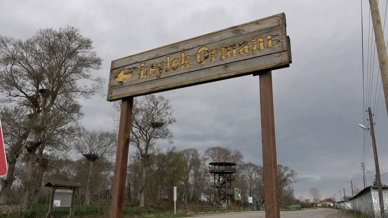 Leylek Ormanı’na leylekler gelmeye başladı