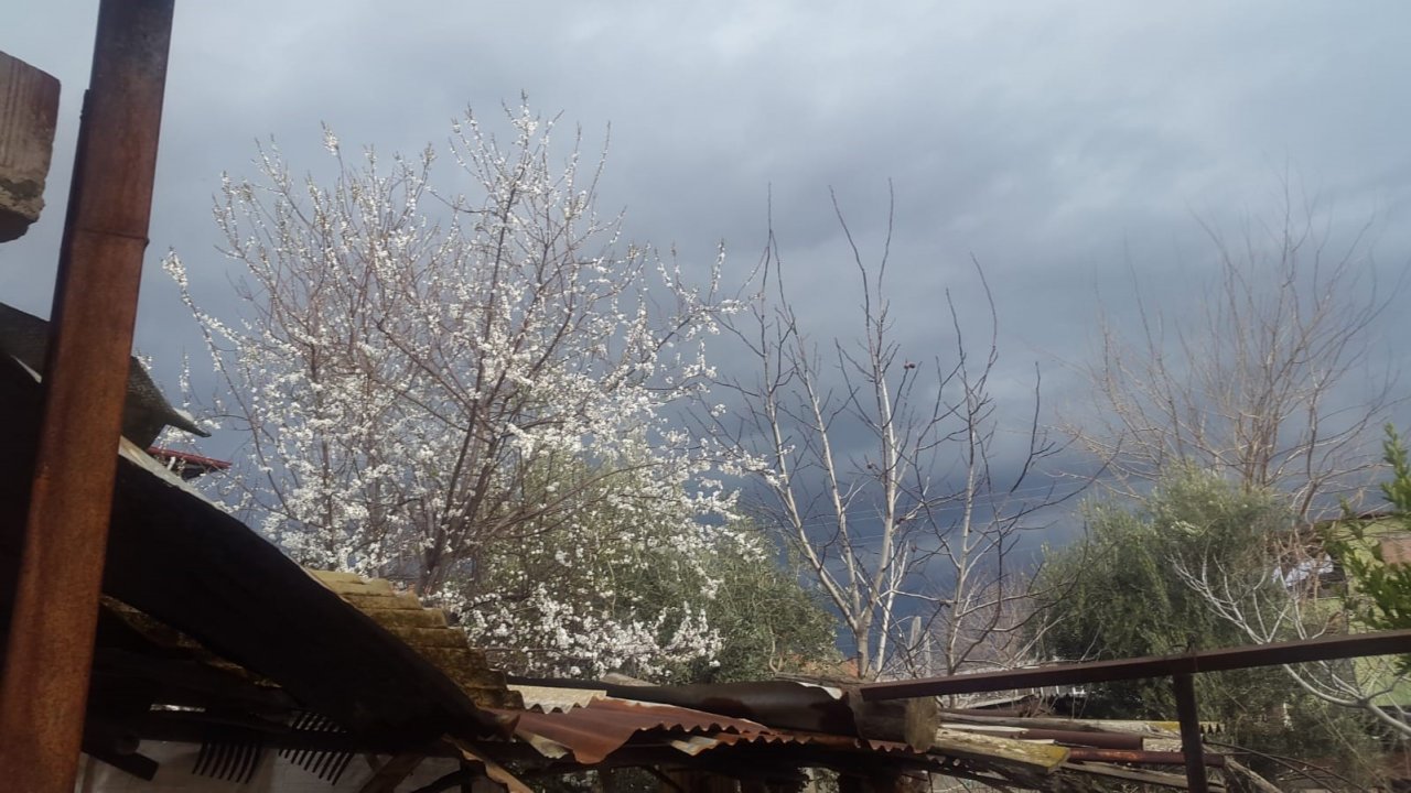 Sarıgöl’e bahar geldi, her yer çiçek açtı