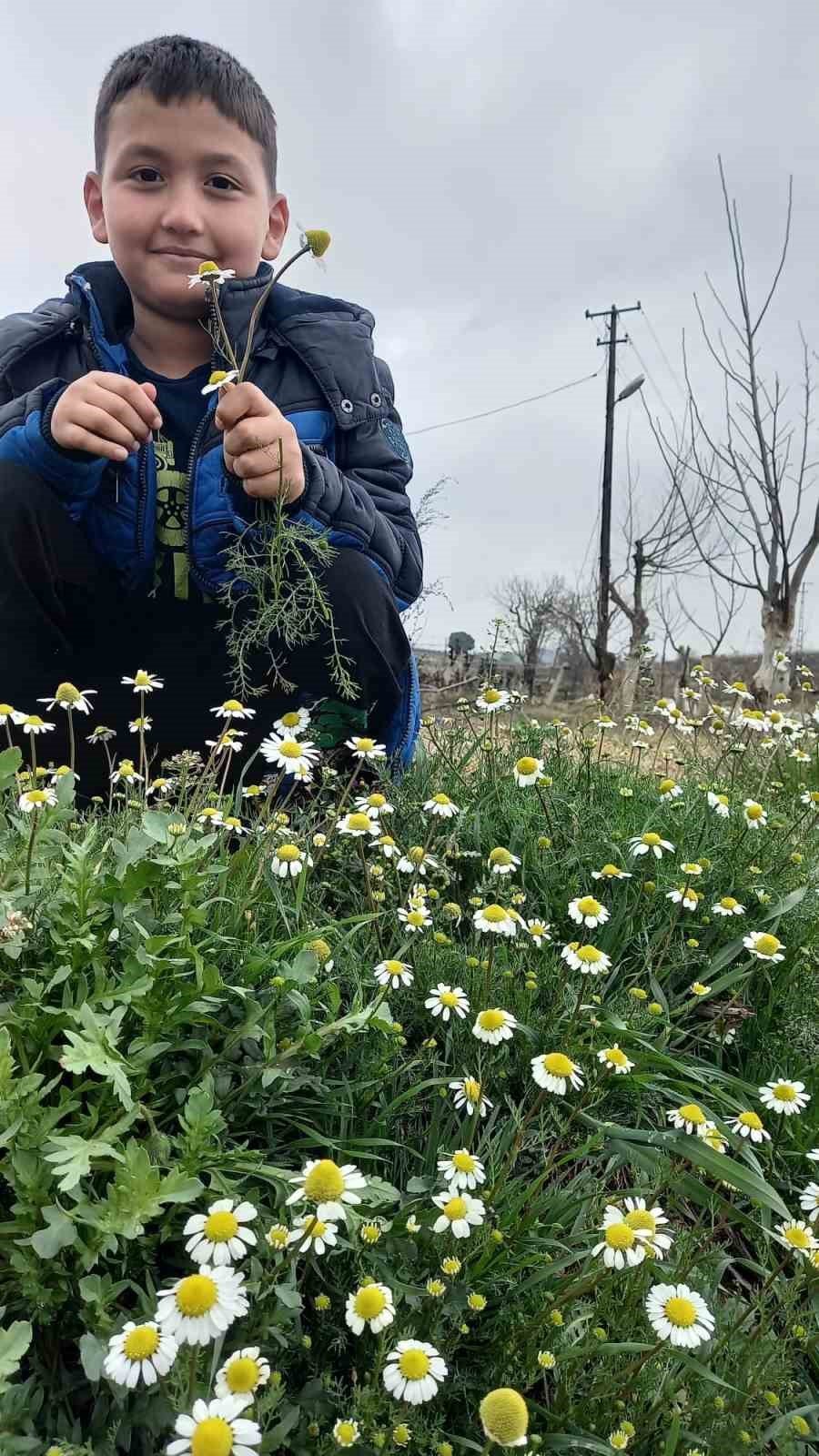 Sarıgöl’e bahar geldi, her yer çiçek açtı