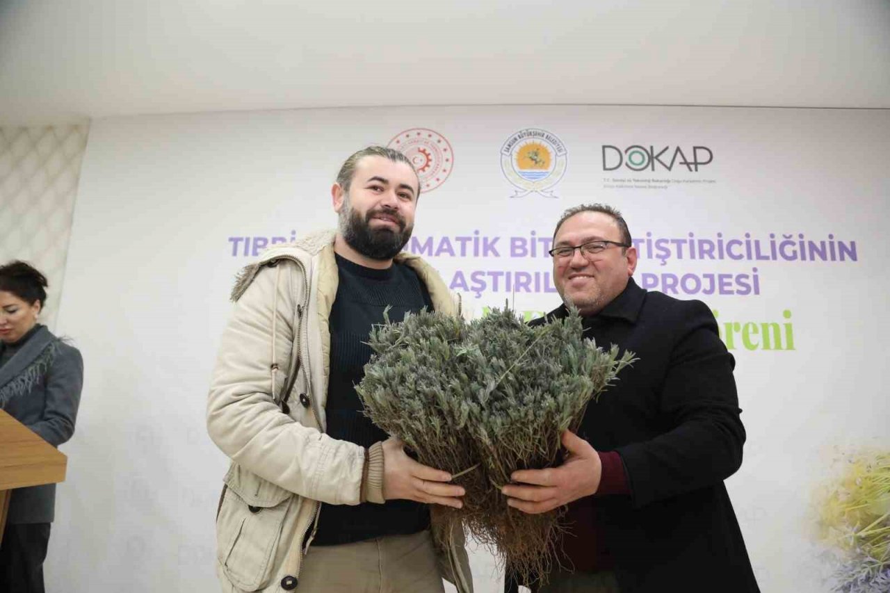 Samsun’da 225 bin lavanta fidesi dağıtıldı