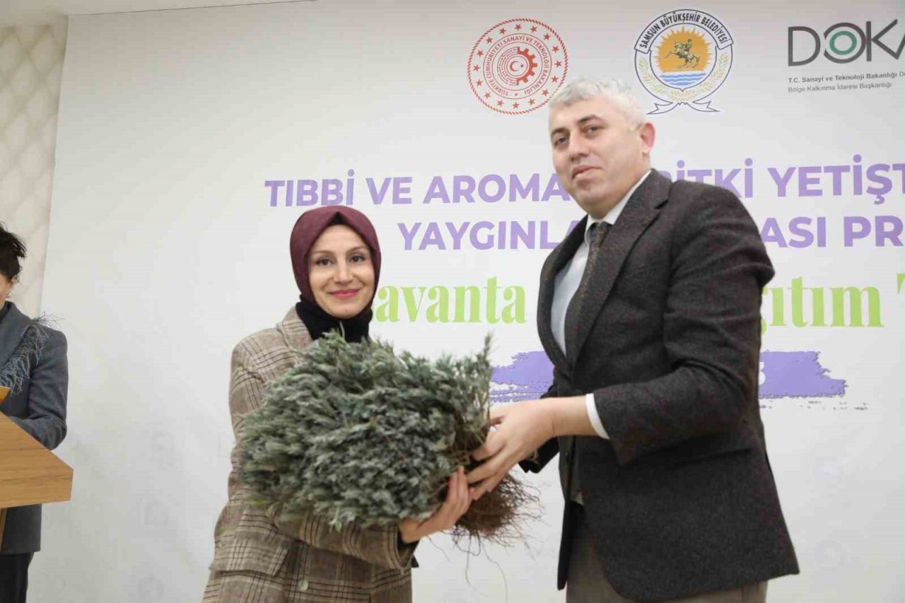 Samsun’da 225 bin lavanta fidesi dağıtıldı