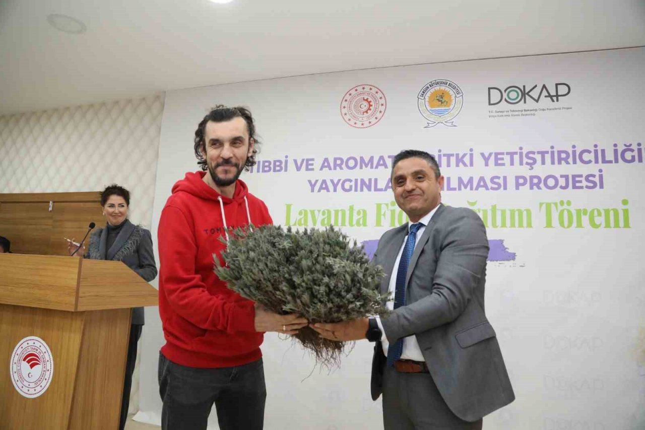 Samsun’da 225 bin lavanta fidesi dağıtıldı