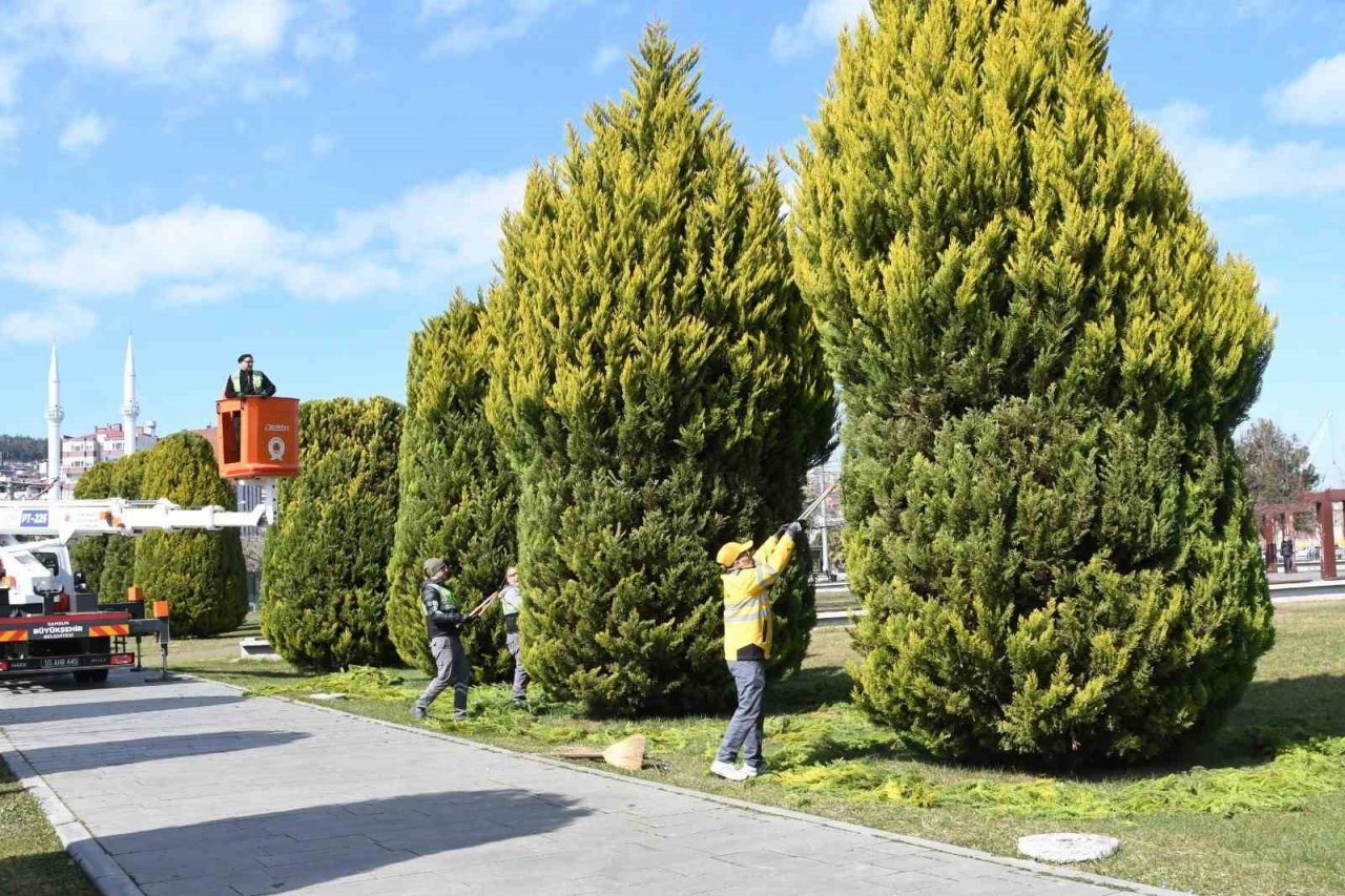 Samsun’a 675 bin çiçek dikilecek