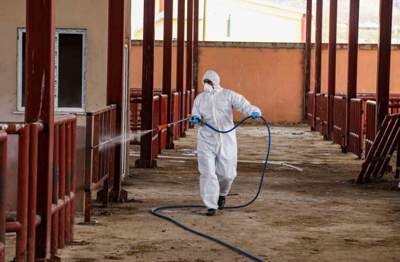 Şap hastalığına karşı ilaçlama çalışması