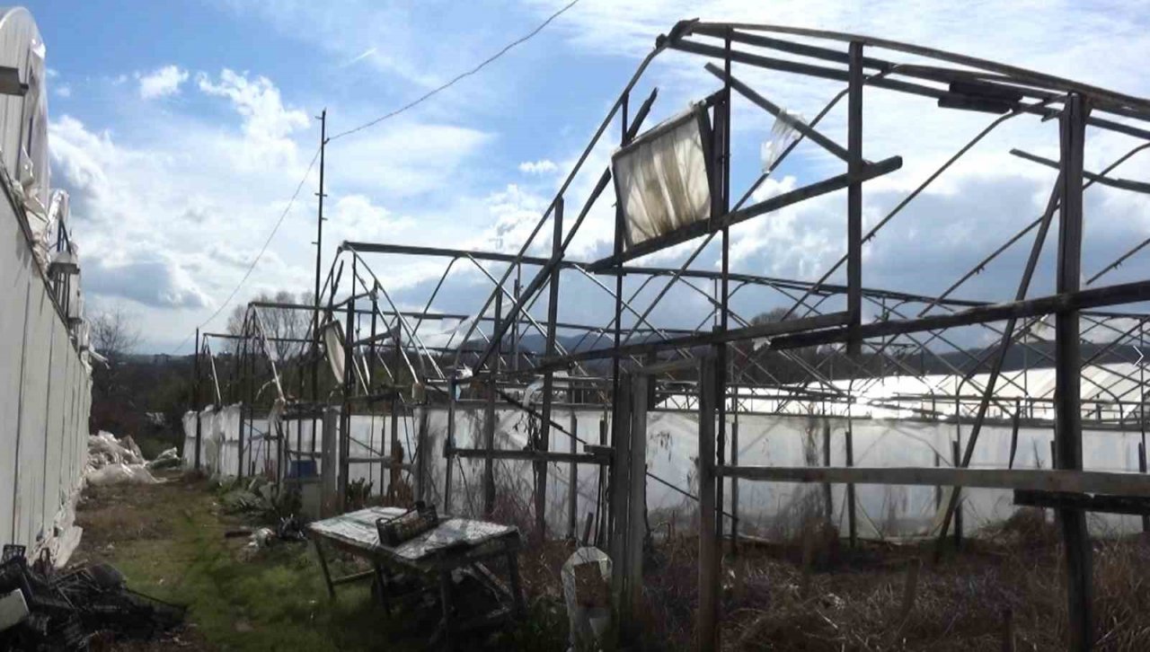 Yalova’da yenilenecek eski seraların kontrolleri devam ediyor