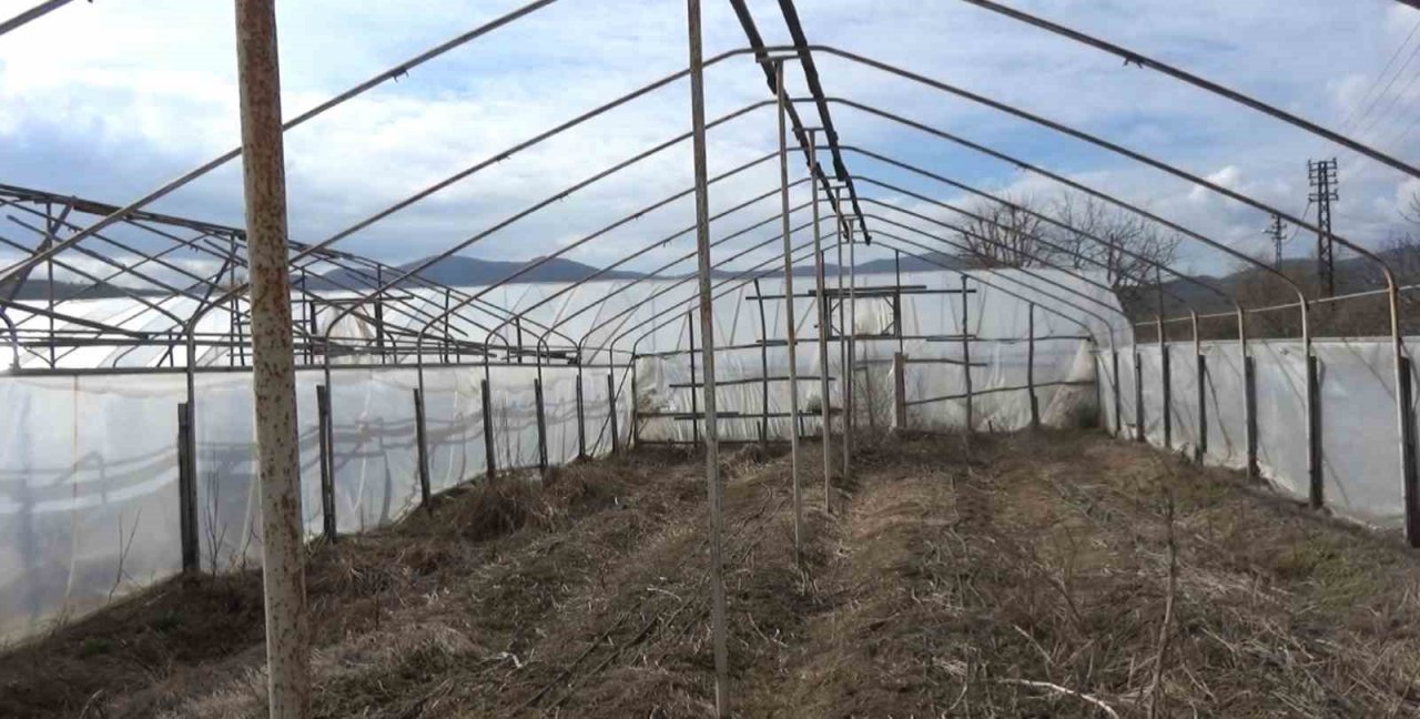 Yalova’da yenilenecek eski seraların kontrolleri devam ediyor