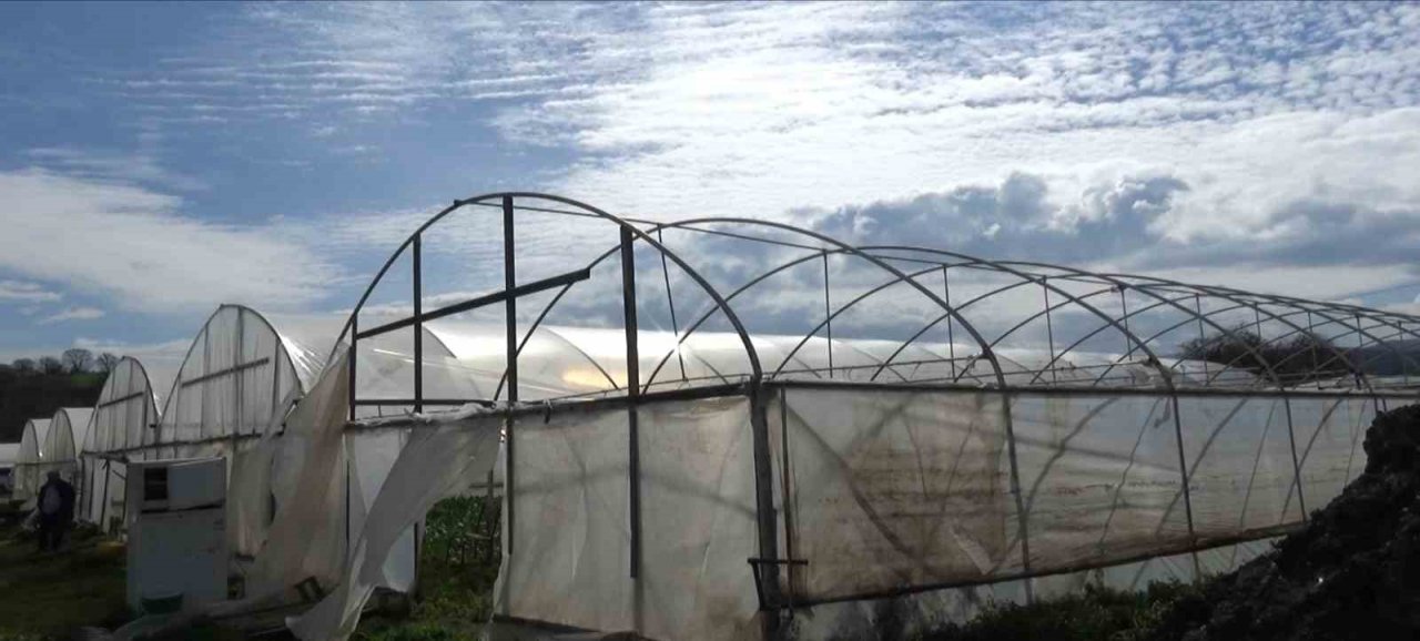 Yalova’da yenilenecek eski seraların kontrolleri devam ediyor