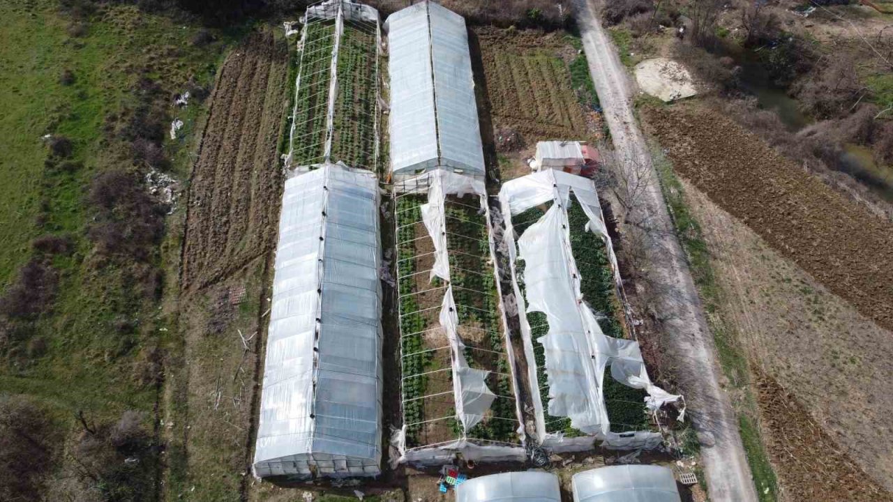 Yalova’da yenilenecek eski seraların kontrolleri devam ediyor