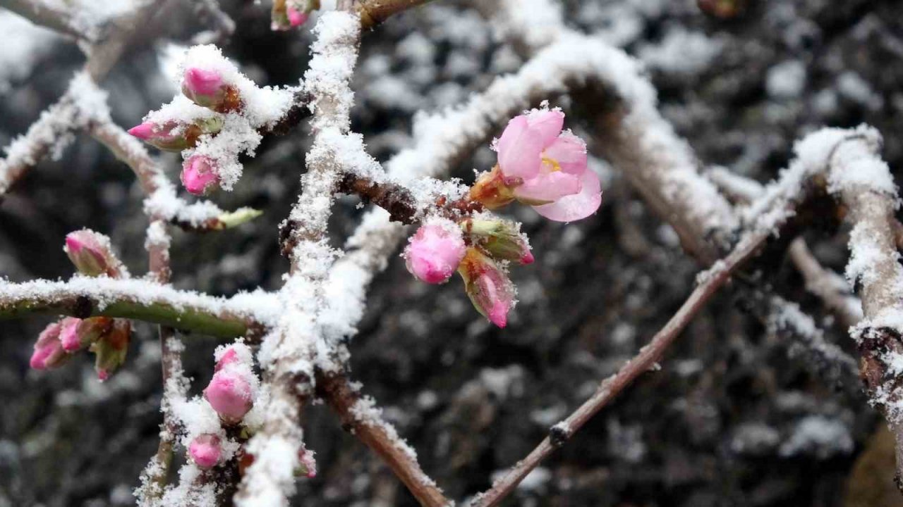 Yozgat’ta kar yağışı etkili oldu