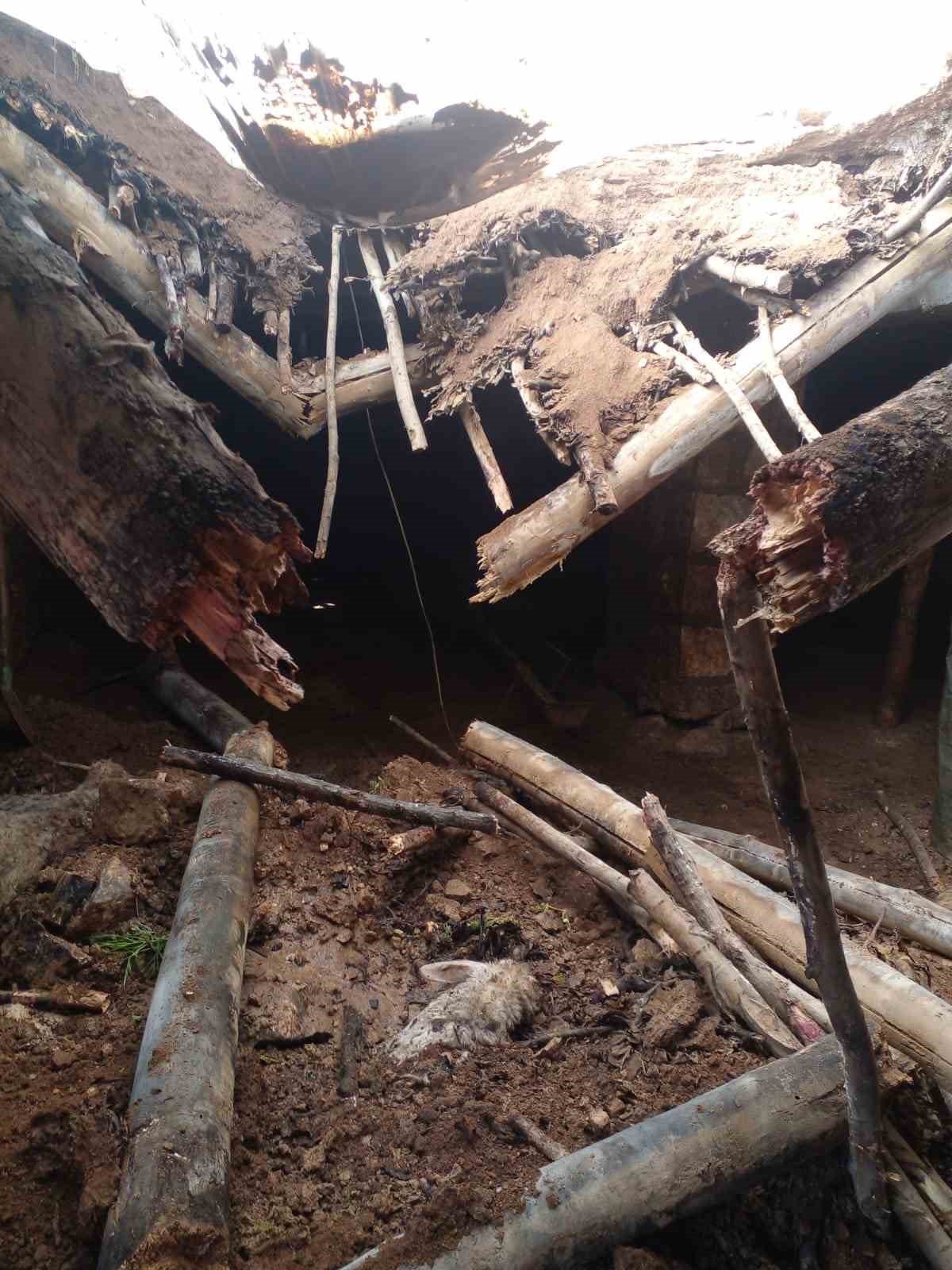 Mardin’de ahır çöktü, 4 koyun telef oldu