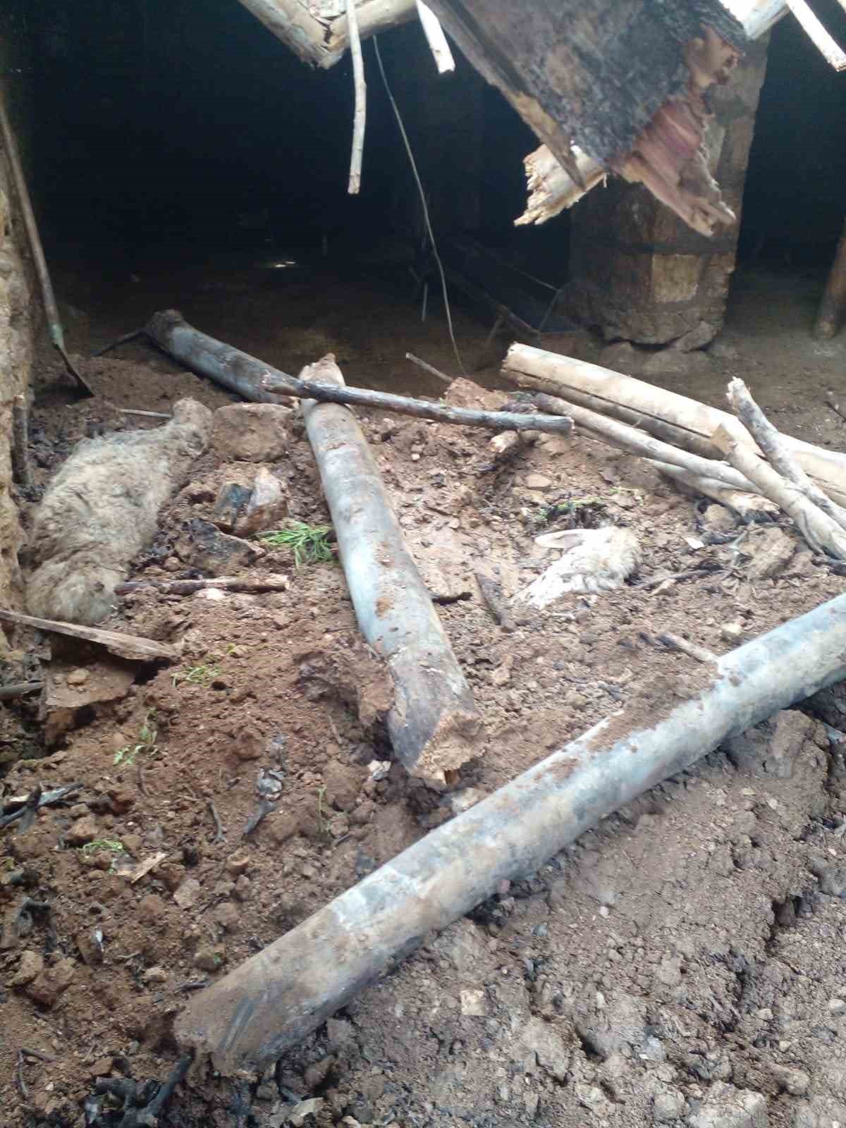 Mardin’de ahır çöktü, 4 koyun telef oldu