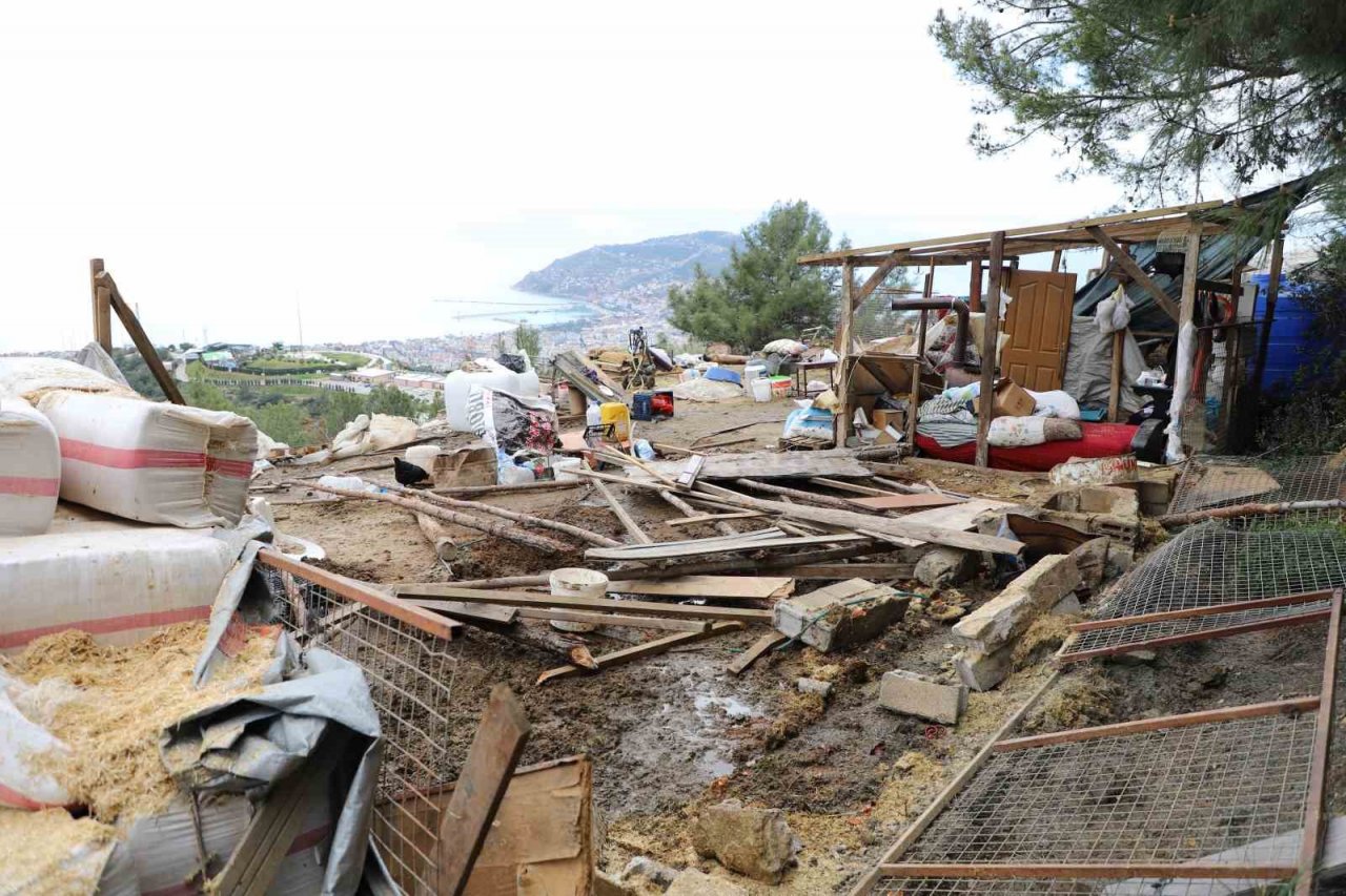 Alanya’da hazine arazisini işgal eden baraka boşaltıldı