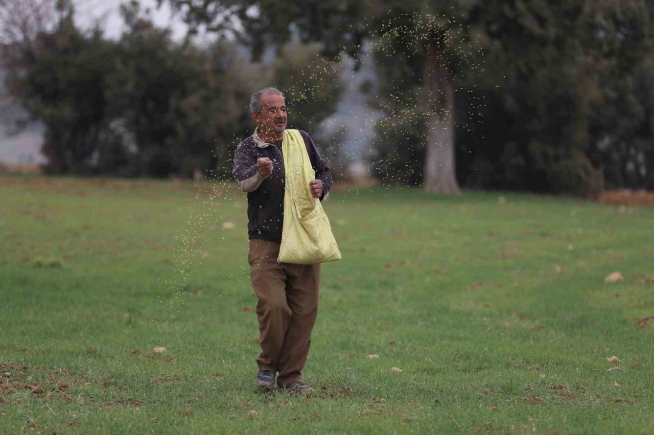 Ata tohumu desteği ile ekilemeyen alanlar tarıma kazandırılıyor