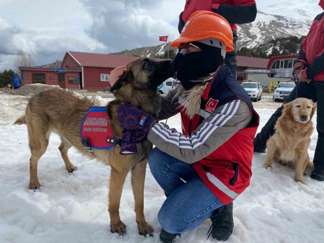 Ergan Dağında çığ tatbikatı yapıldı