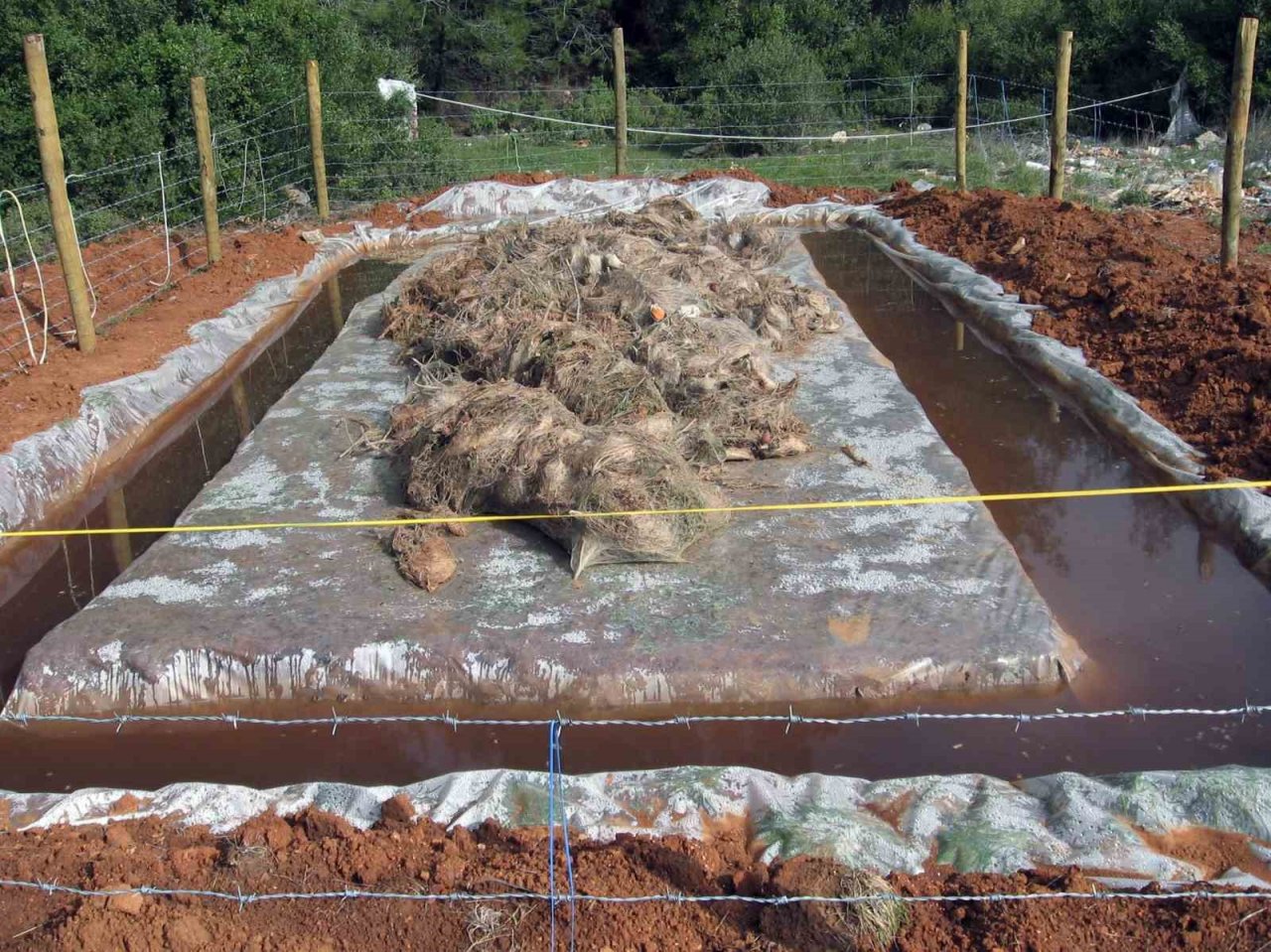 Tırtıl ile mücadele başladı