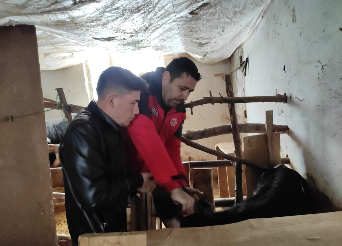 Muğla’da hayvan pazarlarını kapatma kararı alındı