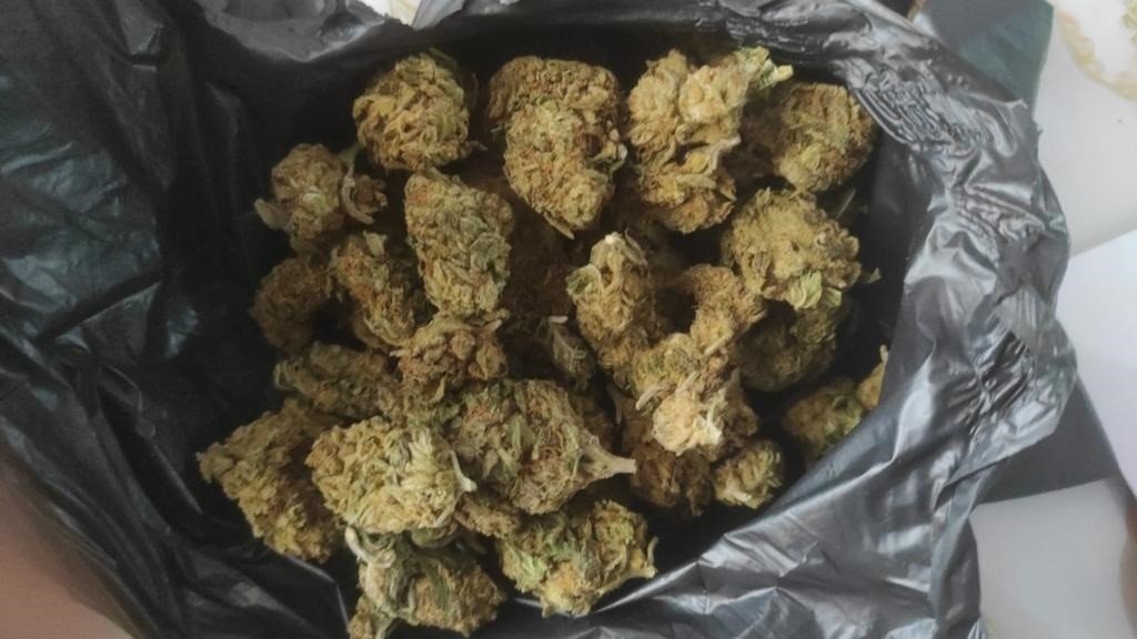 Jandarmadan uyuşturucu operasyonu