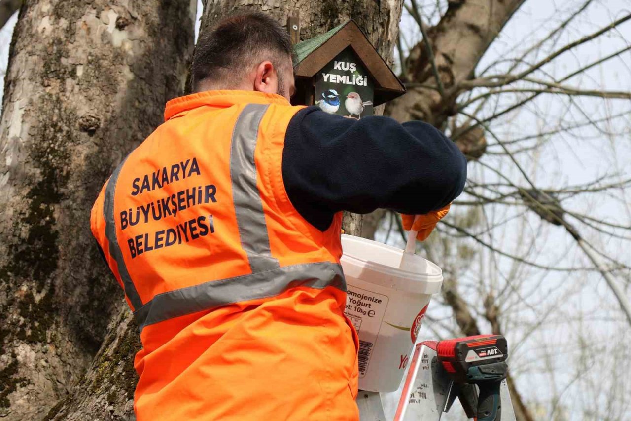 Büyükşehir’in kuş yemlikleri yürekleri ısıttı
