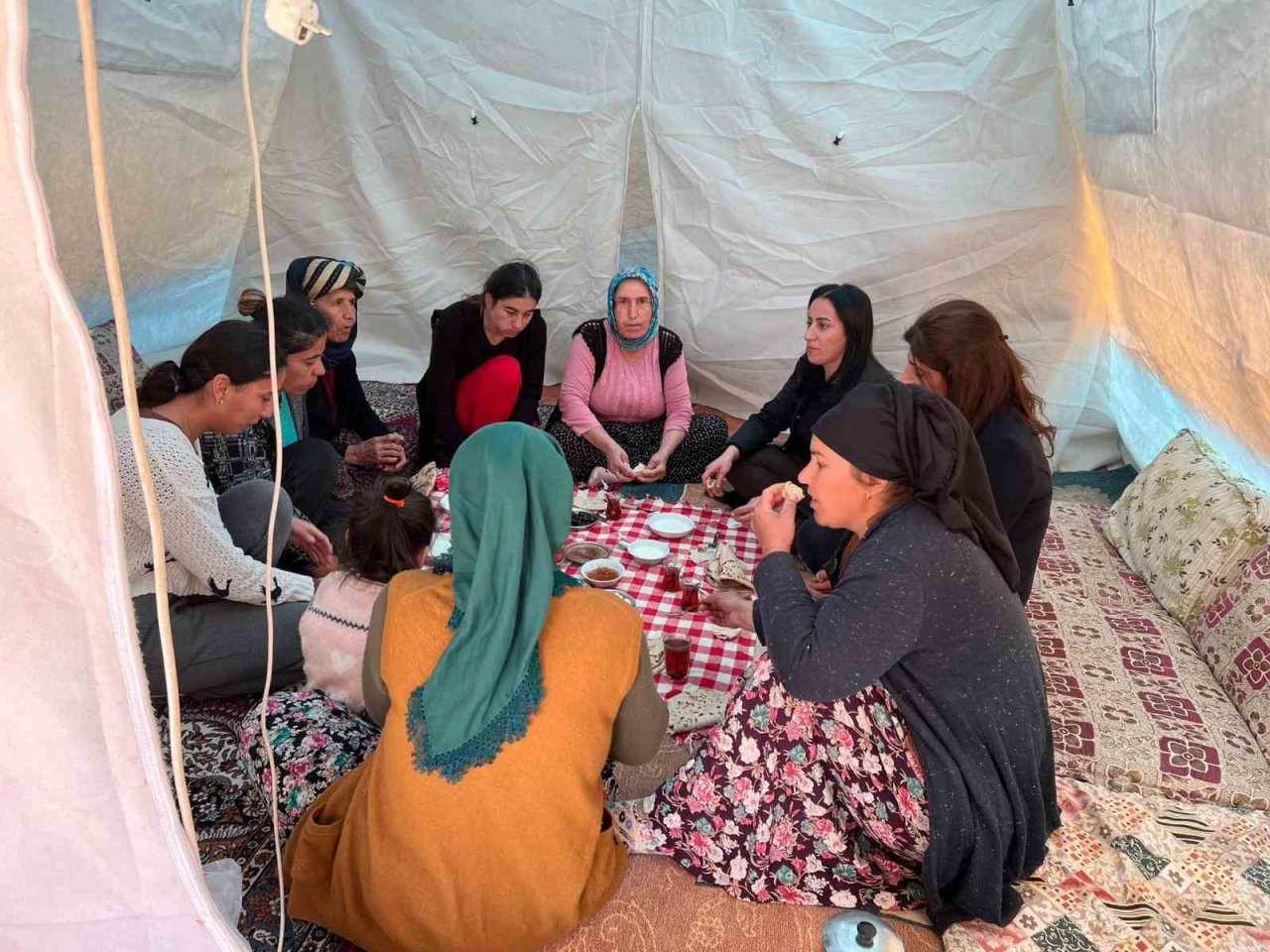 AK Kadınlar deprem bölgesine 133 koli mutfak seti gönderdi