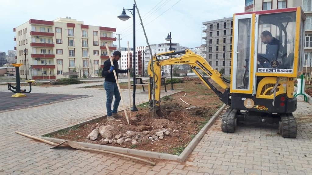 Artuklu Belediyesi kenti yeşillendiriyor