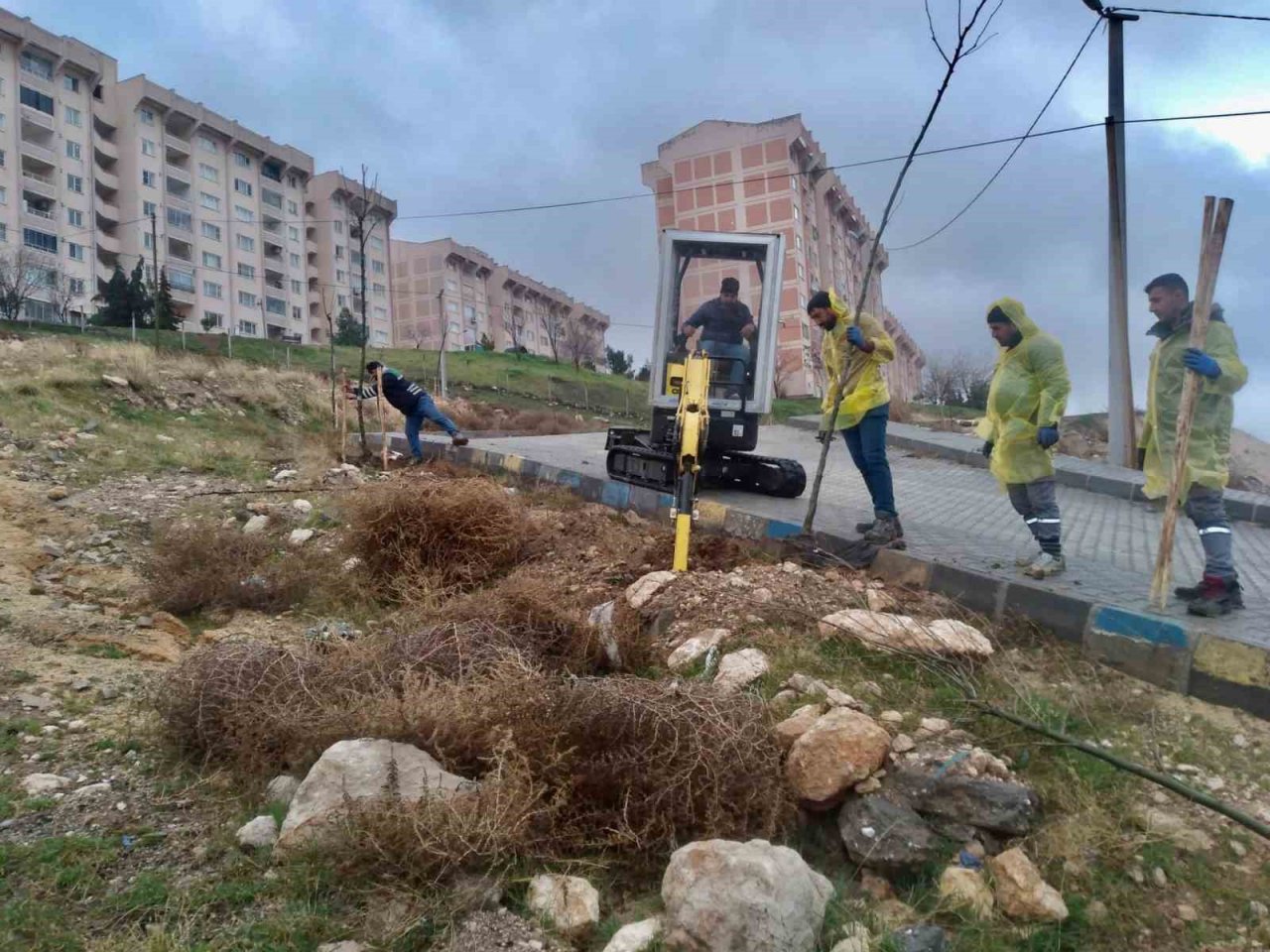 Artuklu Belediyesi kenti yeşillendiriyor