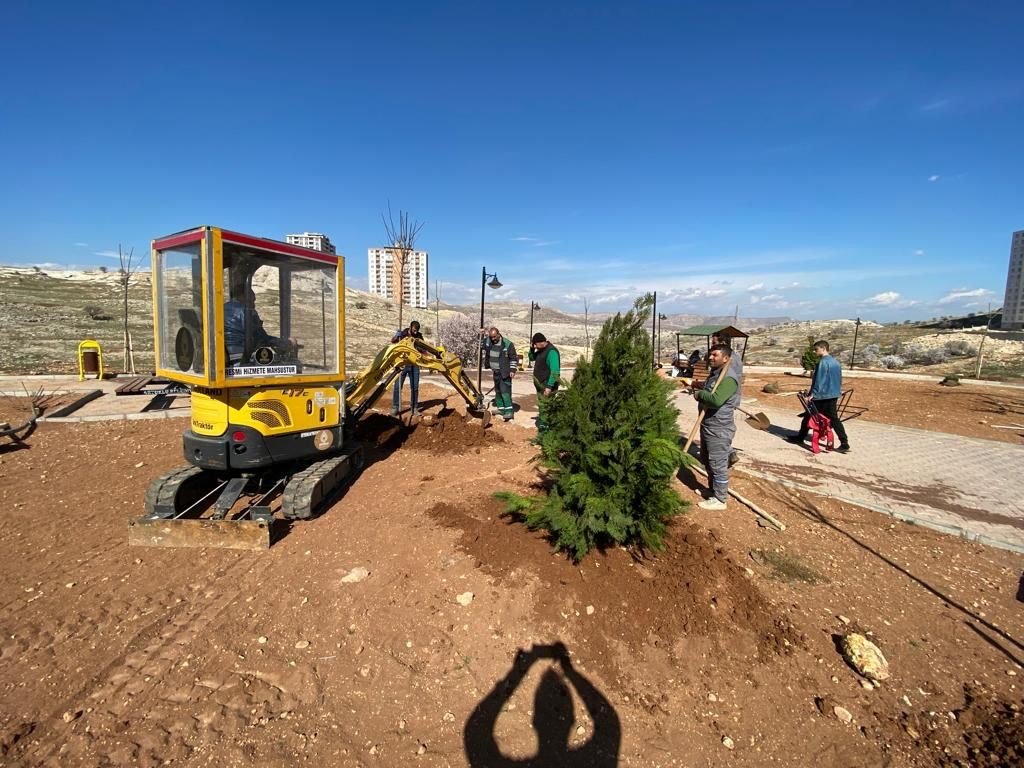Artuklu Belediyesi kenti yeşillendiriyor