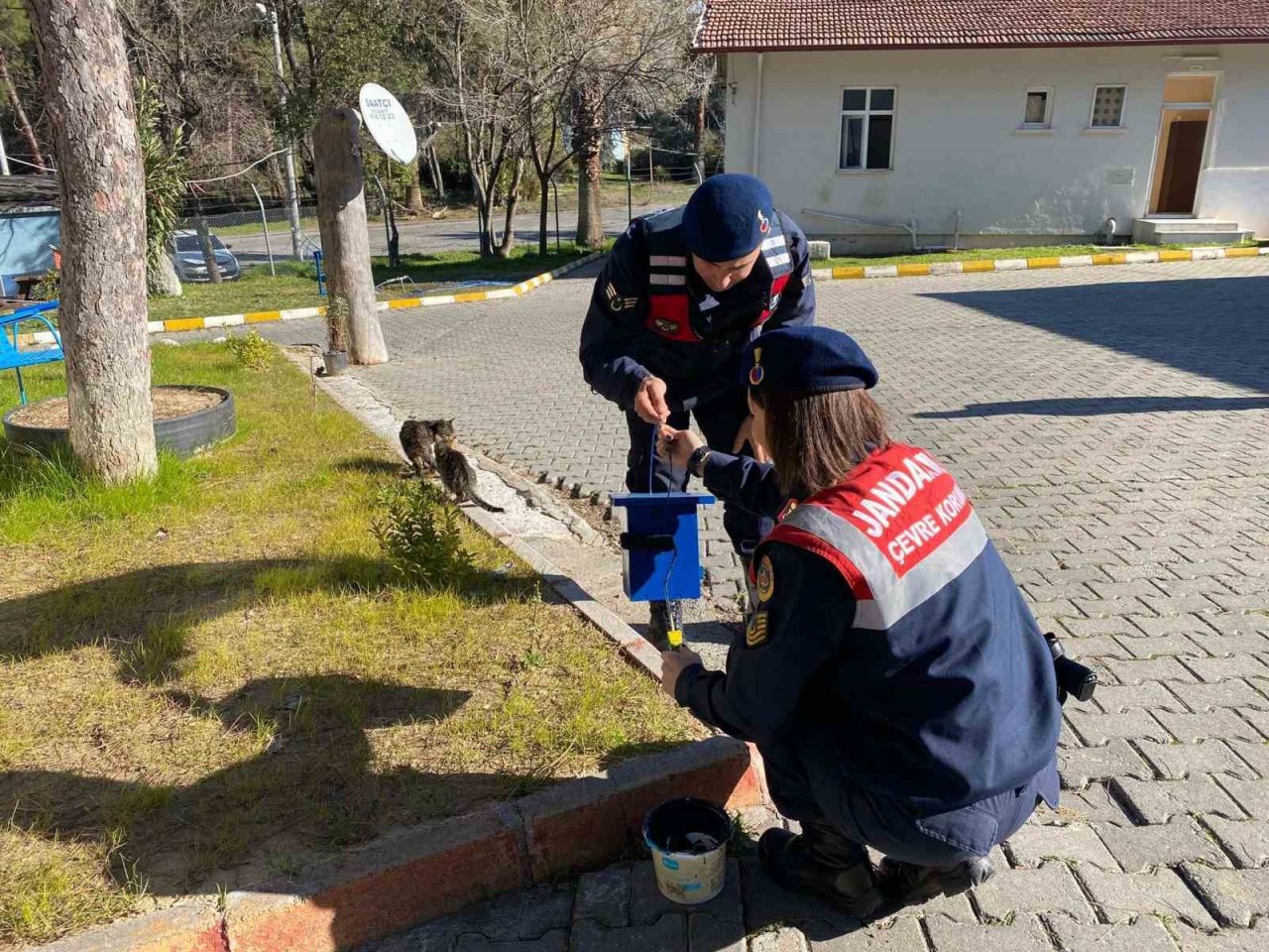 Jandarmadan ormandaki kuşlara yuva