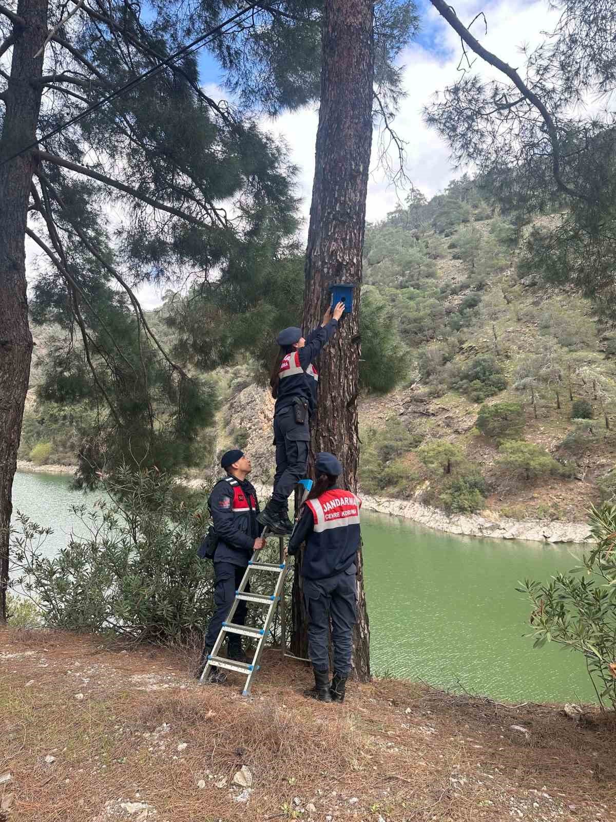 Jandarmadan ormandaki kuşlara yuva