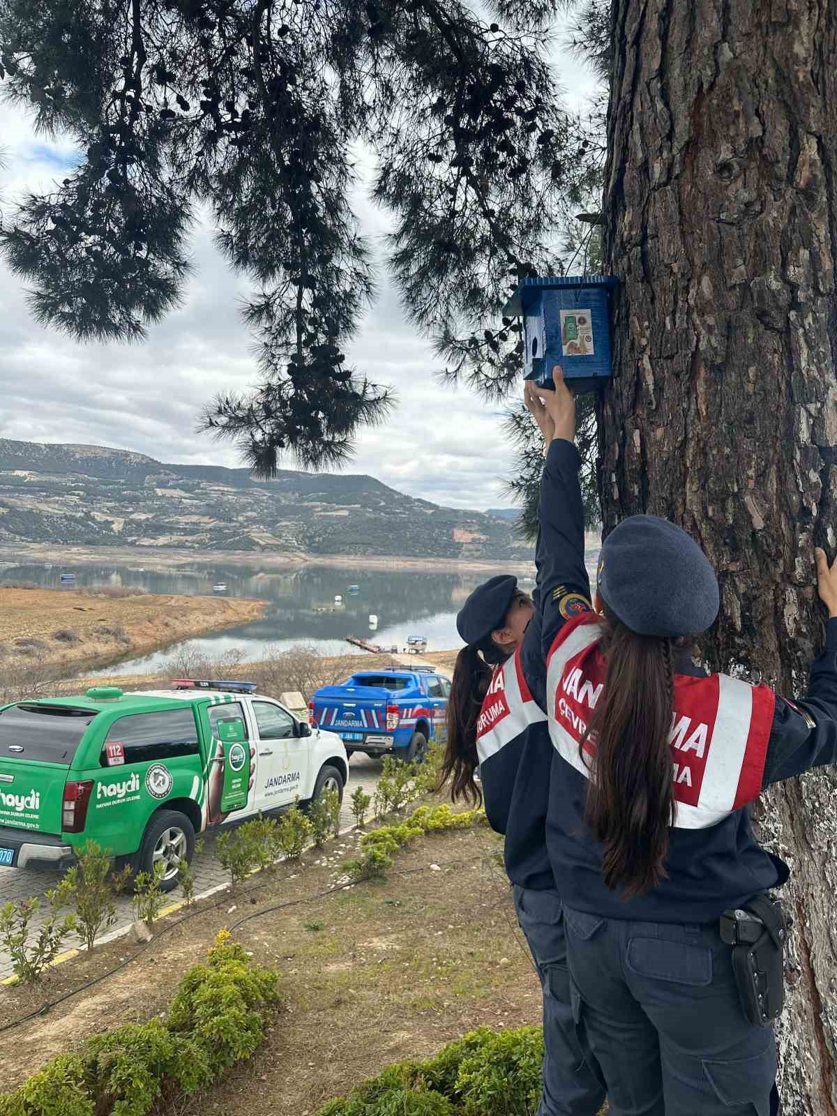 Jandarmadan ormandaki kuşlara yuva