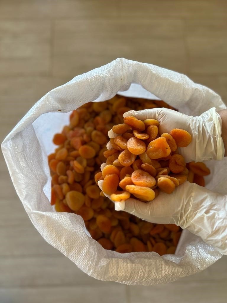 Belediyeden deprem mağduru üreticiye destek