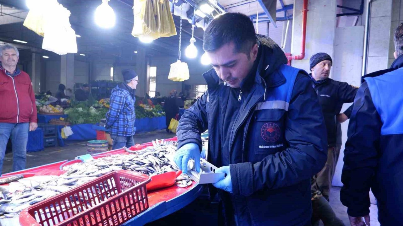 Başkan Yardımcısı Fındık’tan balık denetimi