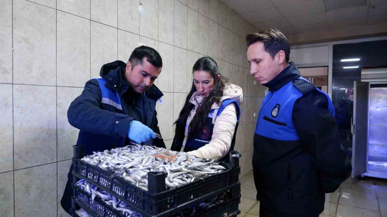 Başkan Yardımcısı Fındık’tan balık denetimi