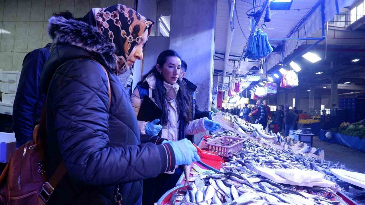 Başkan Yardımcısı Fındık’tan balık denetimi