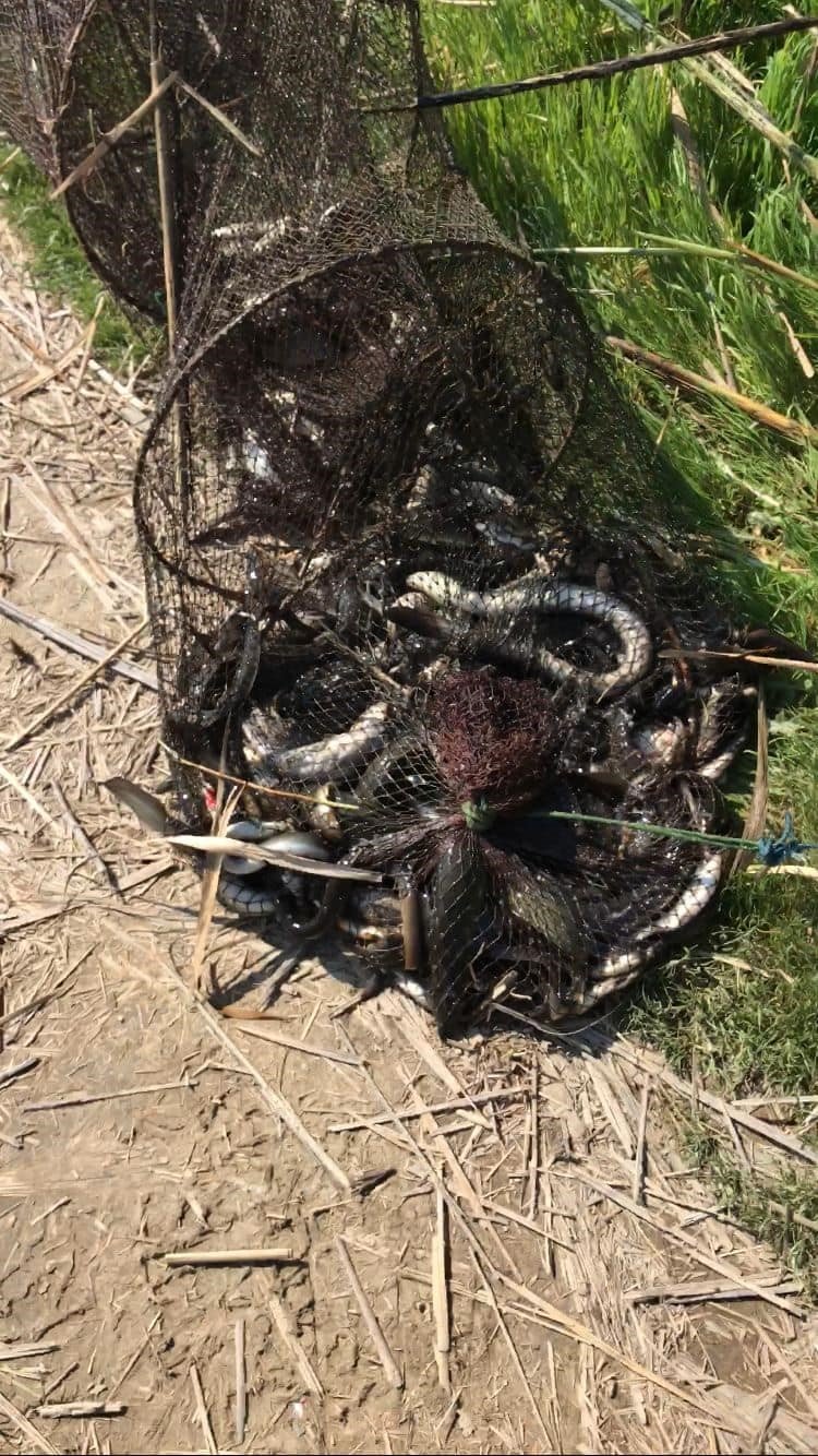 Didim’de sahipsiz gergi ağları ekipler tarafından toplandı