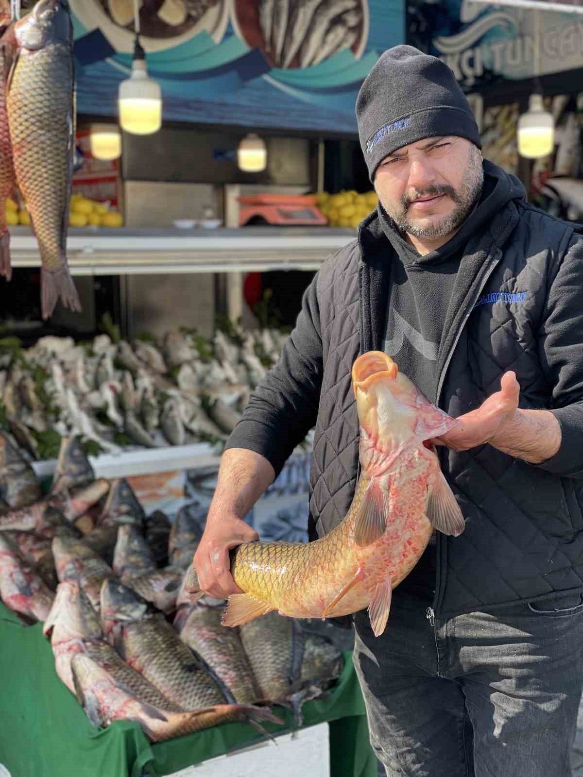 Tatlı sularda balık avı yasağı başladı