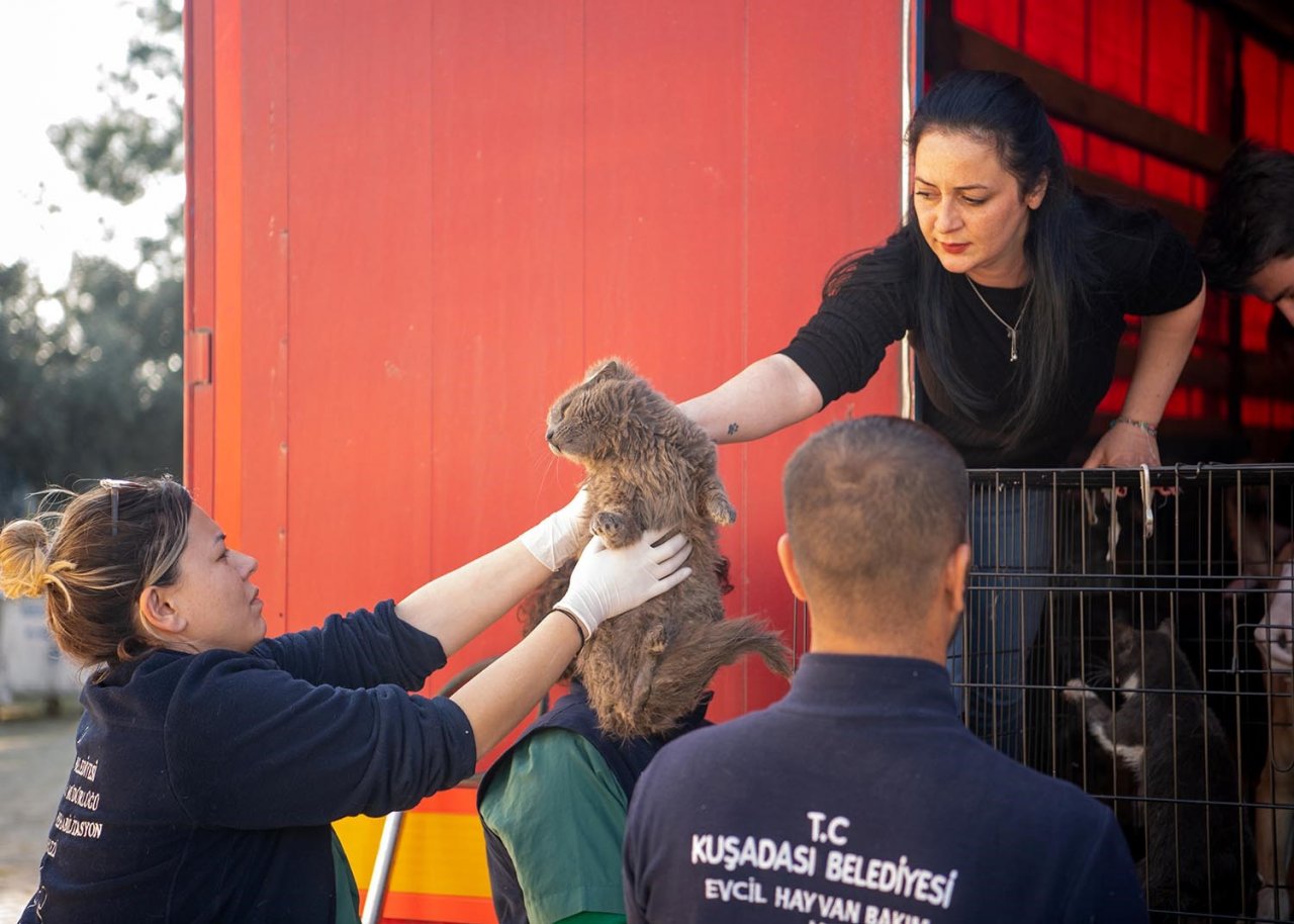 Kuşadası Belediyesi deprem bölgesinden gelen can dostlara kucak açtı