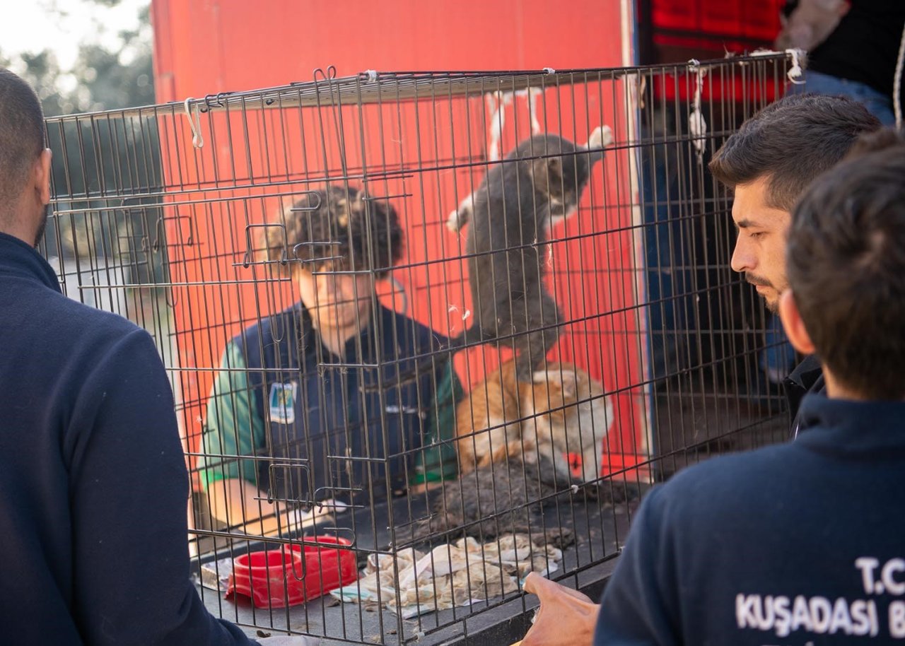 Kuşadası Belediyesi deprem bölgesinden gelen can dostlara kucak açtı