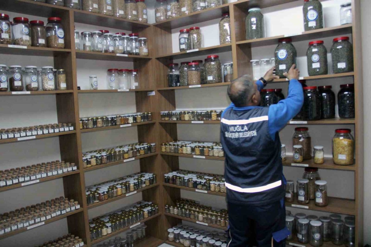 Türkiye’nin ata tohum merkezi