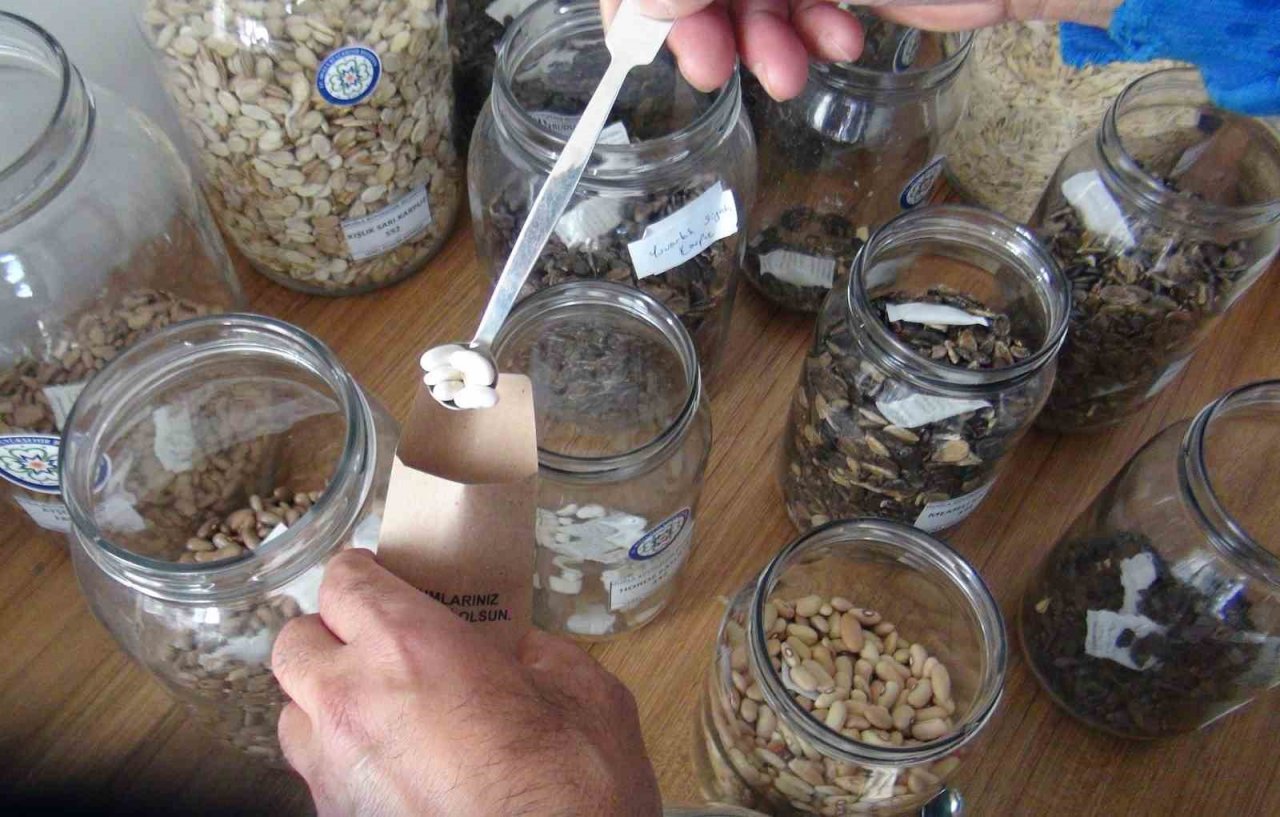 Türkiye’nin ata tohum merkezi